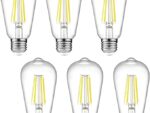 Ascher Dimmable Vintage LED Edison Bulbs Pack of 6