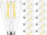 Edison Bulbs 60 watt LED, E26 LED Bulb Non-Dimmable 12 Pack