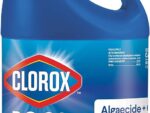 Clorox Pool & Spa Swimming Pool Algaecide and Clarifier