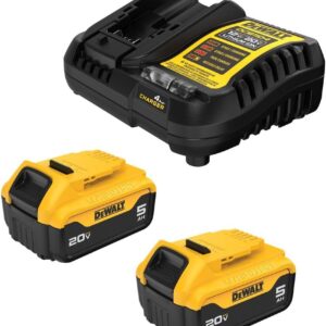DEWALT 20V MAX Lithium-Ion Battery 2-Pack, 5.0 Ah (DCB205-2c)